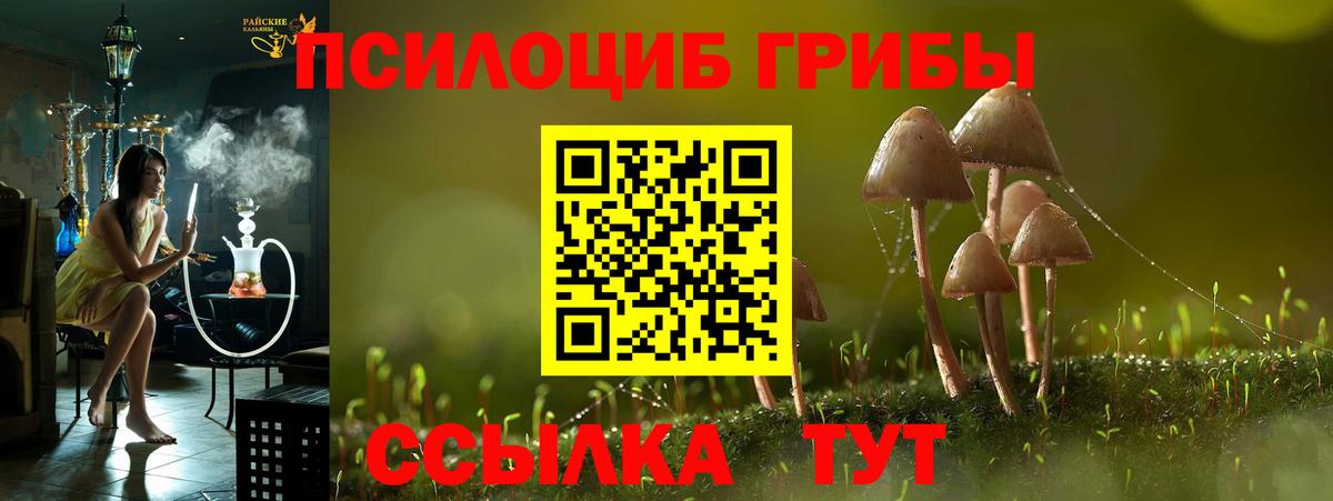 Галлюциногенные грибы мицелий  Вход с VPN  Сердобск 